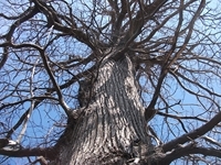 nte Fontane-01042012 159